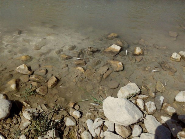 فاجعه زیست محیطی در روستای مورت+ تصاویر