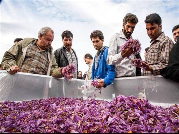 معرفی 27 طرح مشاغل خانگی به بانک‌های عامل در تربت حیدریه