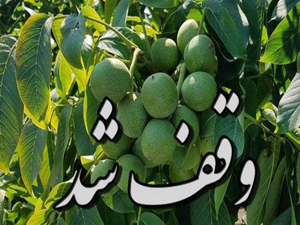 نیکوکار لردگانی باغ گردوی خود را وقف ایتام بی‌بضاعت کرد