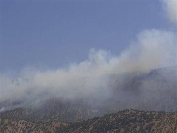 آتش در جنگل های دنا شعله ور شد