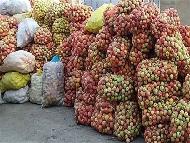 صنایع تبدیلی و سردخانه جواب‌گوی سیب‌های تولیدی نیست