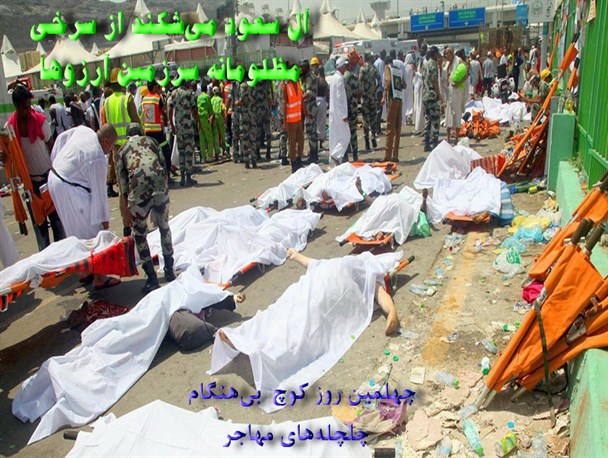 چهل روز از کوچ بی‌هنگام چلچله‌ها گذشت