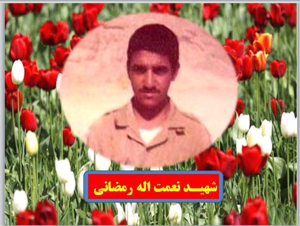 پسرم با وجود سن کم لحظه ای در اطاعت از امام زمانش درنگ نکرده بود