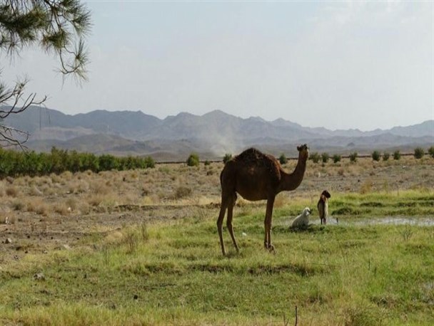 گزارش تصویری/ بخش مرکزی خاش بهشت گمشده سیستان و بلوچستان در دل کویر