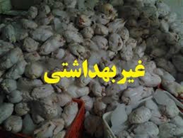 750 قطعه مرغ غیرمجاز در بشرویه کشف و توقیف شد