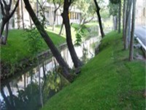 ناپایداری زاینده رود نگهداری از انهار را تبدیل به معضل می کند/ زباله ها جای آب را در مادی های شهر نگیرد