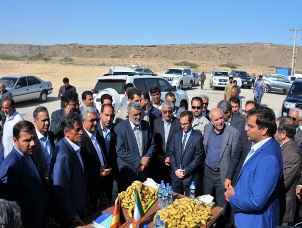 اشتغال بیش از هزار نفر در مجتمع پرورش شترمرغ چابهار