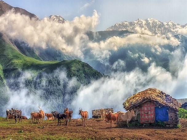 جلوه های زیبای طبیعت در گالری تصاویر عکاس موفق بُرخواری