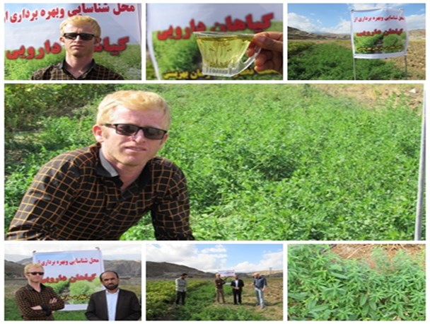 تبلور اقتصاد مقاومتی به همت معلول کهگیلویه وبویراحمدی +تصاویر