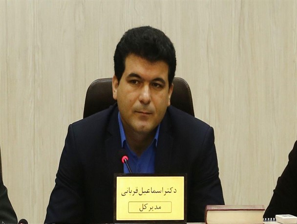۱۴۶ اقدام به خودکشی در استان/ کلاس های آموزشی قبل از ازدواج کارآمد نیستند