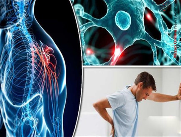وجود ۱۵۰۰بیمار مبتلا به "ام اس" در استان قزوین