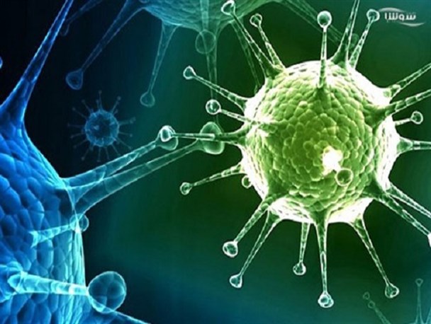 آنفولانزا در استان همدان قربانی گرفت/مسئولان آماری ارائه نمی‌کنند