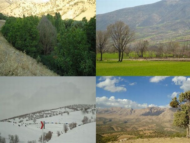 طبیعت زیبای چهار فصل جوانرود به روایت تصویر