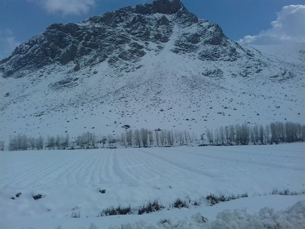 گزارش تصویری بارش برف در بیرانشهر