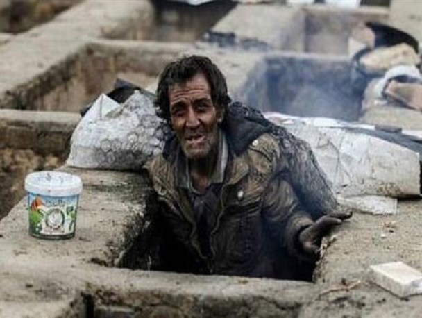 دلشان به حال حیوانات می سوزد ولی به حال «ژن های ضعیف» نه!