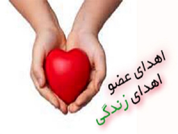 اهدای عضو توسط 19 بیمار یزدی از ابتدای سال تاکنون/نیازمند کمک دستگاه های متولی در زمینه فرهنگ سازی هستیم