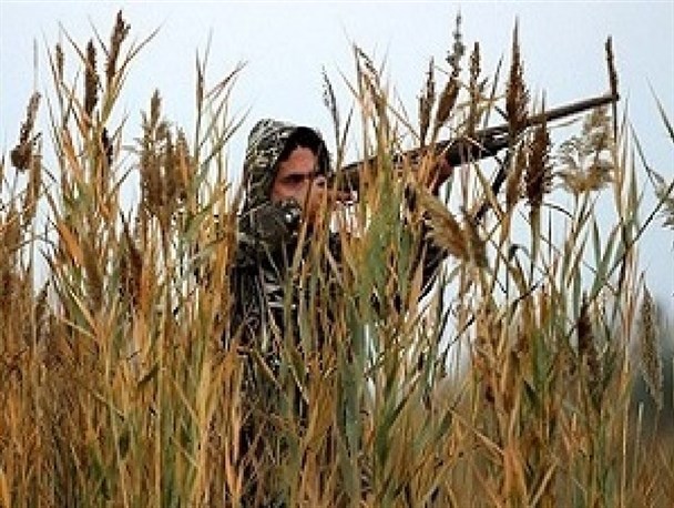 شکارچیان قوچ وحشی در نایبند طبس دستگیر شدند