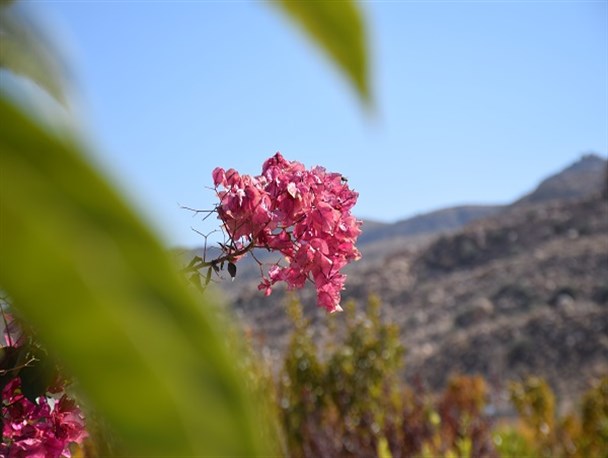 طبیعت زیبای زمستان نی ریز از دریچه دوربین