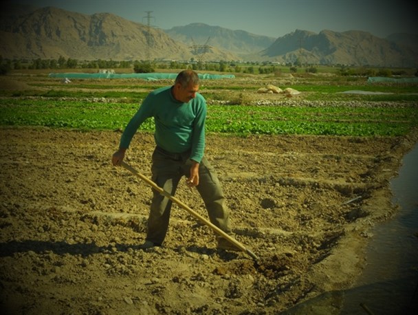زندگی مشقت بار سبزی کاران گچسارانی زیر خط فقر + (فیلم)