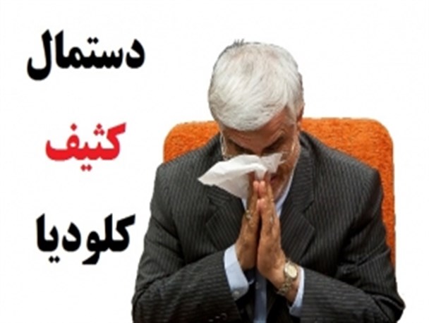 چرایی سکوت در برابر مداخله جویی سفیر بوی یونجه های کپک زده/ دستمال کثیف "کلودیا" برای زدودن ننگ حقوق بشری از چهره غرب