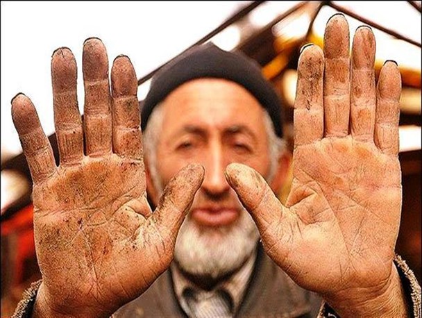 واریز پول چغندرکاران به علت وجود مشکل نقدینگی در کشور مقدور نیست/ شکر در برابر چغندر!