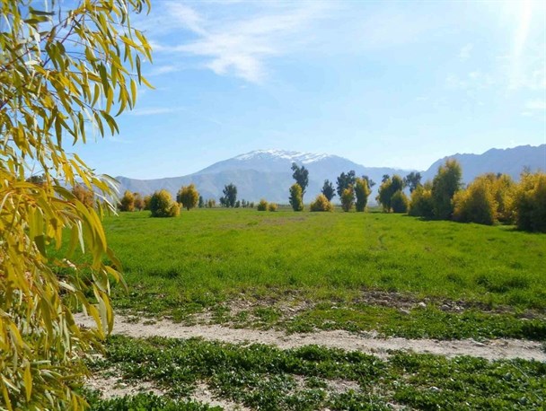 زمستان رنگارنگ ایذه