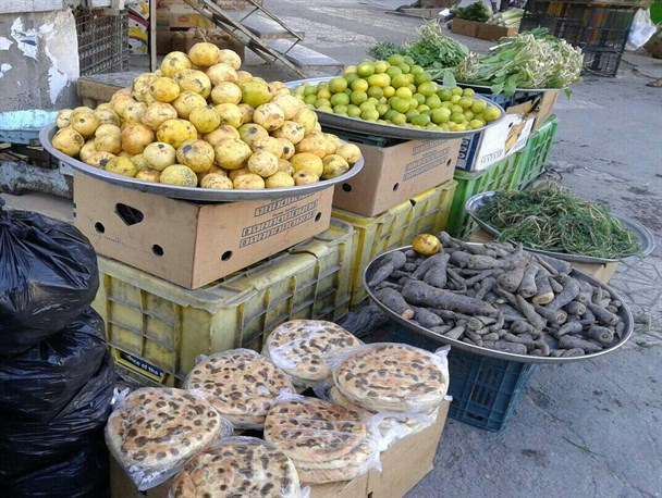 زیتون جنوب، میوه ای بومی اما ناشناخته / فقدان صنعت فرآوری محصولی کمیاب در کشور
