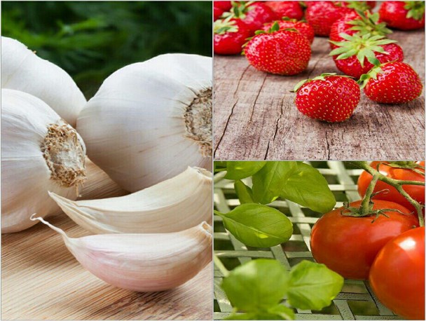 میوه ها و سبزیجات سفید و قرمز چه خواصی دارند؟