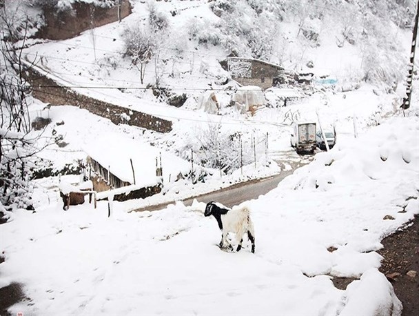۷۵۰ روستای کرمانشاه در محاصره برف هستند