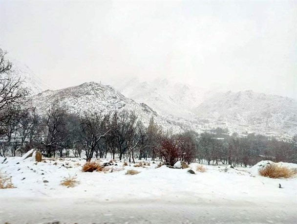 تفت زمستانی با لباس سپیدی از برف