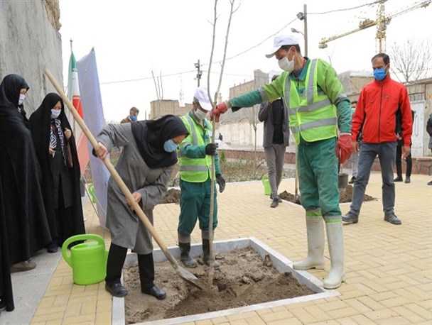 کاشت نهال در مشهد