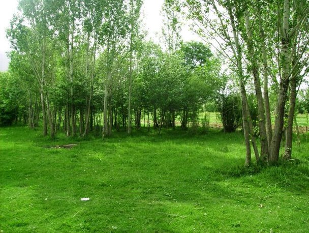 طبیعت بکر روستای سورانه+تصاویر