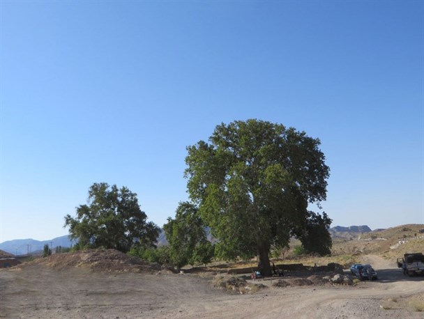 «روستای بیجورد» گوشه‌ای از زیبایی‌های شهرستان بردسکن