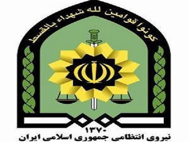 اقدامات نیروی انتظامی تویسرکانی در سال 95/از دستگیری 2 زن سارق تا  پرده برداری از شگرد جاعلان اسناد ملکی و دولتی در تویسرکان