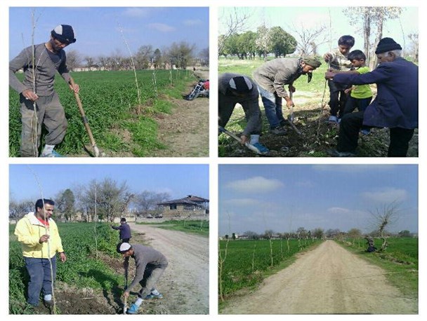 مشارکت مردمی در توسعه فضای سبز روستای شهرستان رامیان + تصاویر