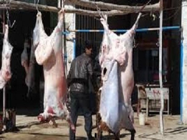 التیماتوم های معاون استاندار بی نتیجه ماند / بازی با سلامت مردم توسط قصابی های غیرمجاز در مسیر جاده های کهگیلویه و بویراحمد