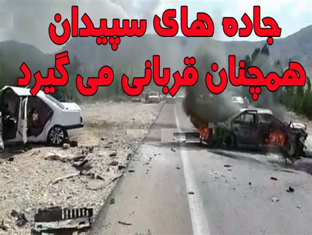 جاده های سپیدان همچنان قربانی می گیرد
