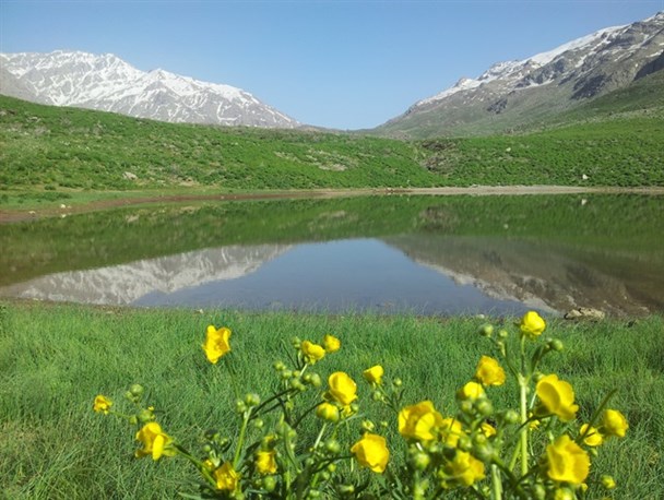 تصاویر / این روزهای کوهگل از نگاه لنز دوربین