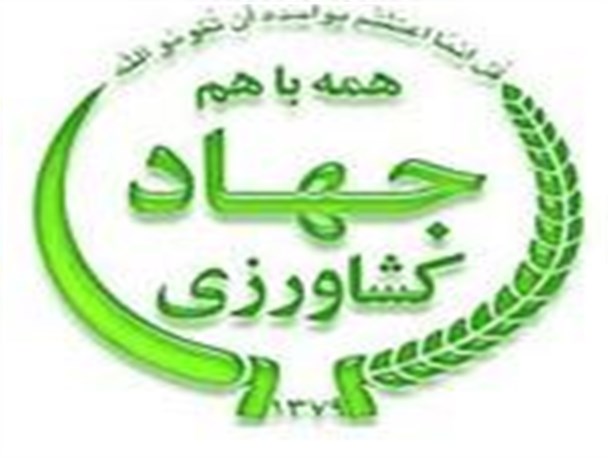 150 میلیون ریال تسهیلات 5 درصد به متقاضیان صندوق های خرد روستایی پرداخت شد