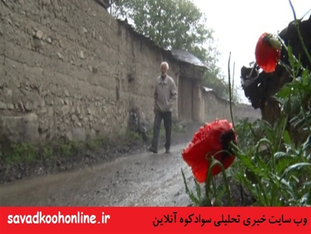 26 کیلومتر پیاده‌روی برای رسیدن به کلاس درس/تصاویر