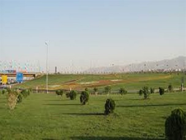 مرگ تدریجی درختان حاشیه شهرجدیدهشتگرد