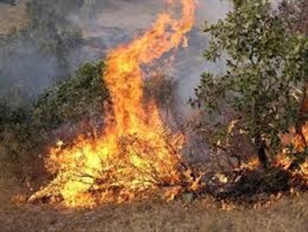 جنگل و مراتع لرستان بر روی بمب ساعتی آتش سوزی!/ گلایه داوطلب عضو اطفا حریق از کم توجهی دولت+ فیلم
