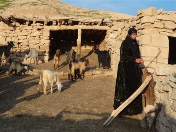 انعقاد تفاهم نامه همکاری بسیج سازندگی با معاون توسعه روستایی مناطق محروم کشور