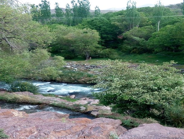 چشم اندازی از طبیعت دیدنی تذرچ رابر/تصاویر