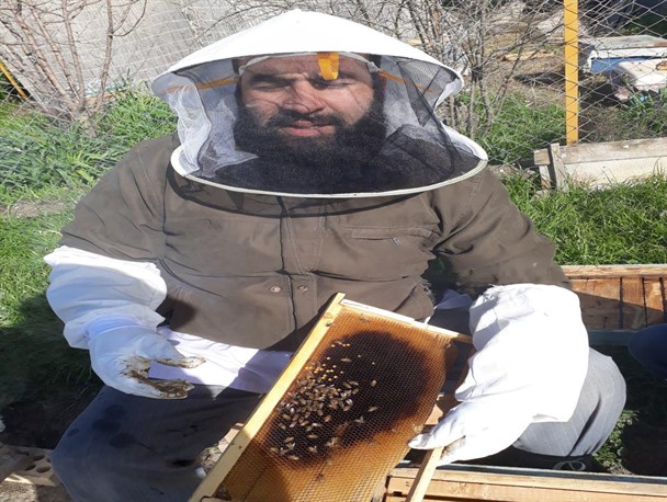 کسب روزی حلال با پرورش زنبور + تصاویر