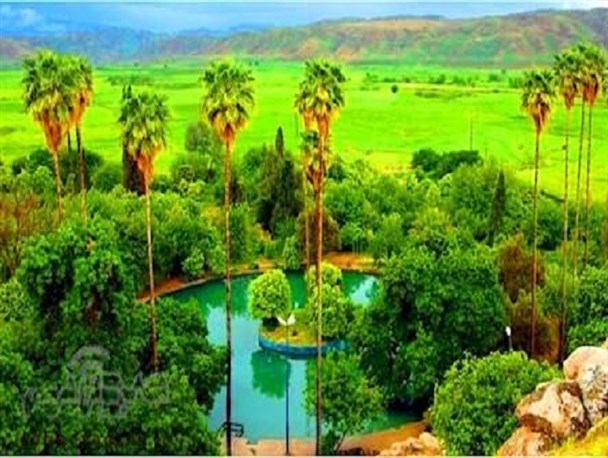 چشمه "بلقیس" چرام در فصل غم‌انگیز آتش نسوزد/ مسئولان چاره‌اندیشی کنند+ فیلم
