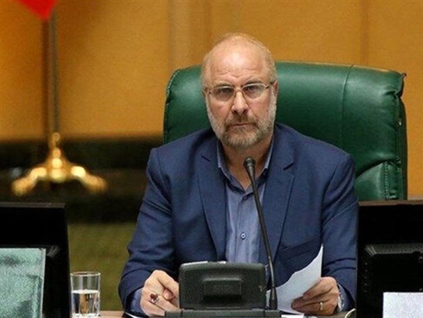 مجلس حامی سهامداران زیان دیده از سیاست‌های غلط است