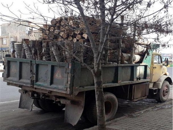 کشف و ضبط۵ تن چوب در شهرستان بویراحمد/راهکارهای منابع طبیعی برای مبارزه با قاچاق چوب