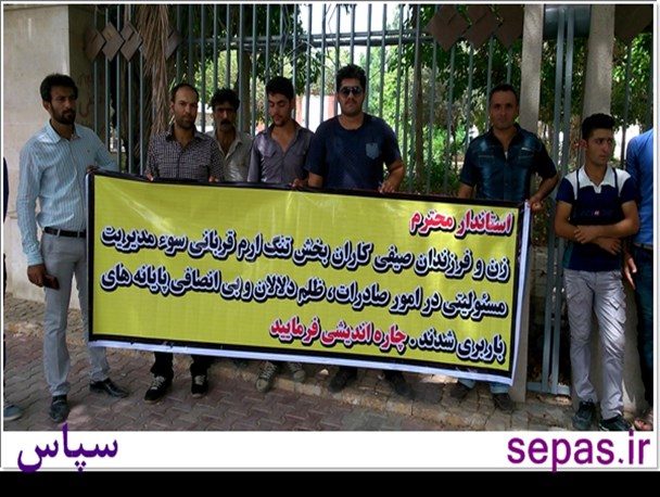 تجمع صیفی کاران بخش تنگ ارم روبروی استانداری بوشهر+تصویر
