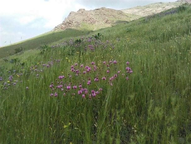 طبیعت زیبای منطقه حفاظت شده خانگرمز